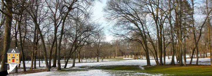 Trusted Home Services in Lake Zurich, IL: HVAC, Plumbing, Electrical & More