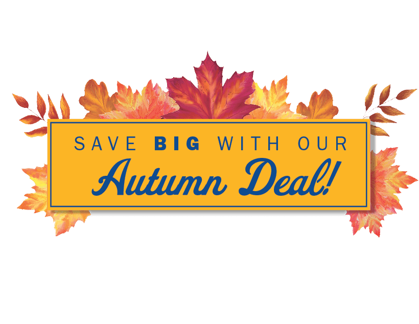 Althoff Home Services Coupon